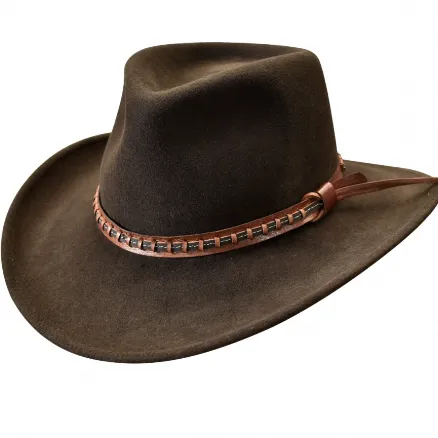 Stampede Felt 100X Wool Western Hat - The Buckaroo in Brown,Black